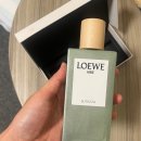 프리모약국 | 목 크림 쟈크폰 Xhekpon 할인, 로에베 향수 구매 후기(최저가, 드럭스토어, 백화점, 면세점 가격 비교...