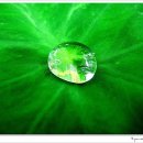 제이위드 이미지