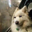 중문상로82번길 이미지