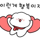 강아지유치원CAREDOGS
