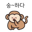 부여 달밤야시장 이미지