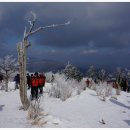 하얀천국 이미지