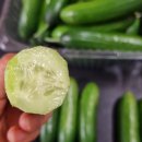 우성농장2농장 이미지