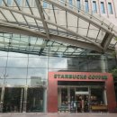스타벅스커피 명동입구 이미지