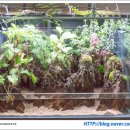 밀레쥬 에듀파크 이미지