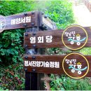 예양 Daum카페