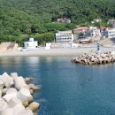 여울애견펜션 이미지