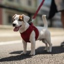 서동물병원 이미지