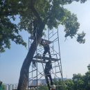 세진환경자원 이미지