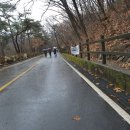 팀 펜로즈 이미지