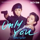 LAS(라스) 이미지