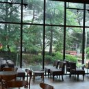 청주 오창 호수 공원 근처 카페 추천 -스타벅스 오창 호수 공원점, 2025 썸머 프리퀀시 라코스테&amp;스벅...