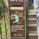 테크로밸리공단 공원내 | 원주 가볼만한곳 소금산 그랜드밸리 출렁다리부터 울렁다리까지 제대로 둘러본 후기