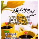 김씨박물관 네이버블로그