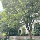 땡큐일지 (7.6) 외국인 친구랑 첫 밥약 (2) 선물 준비