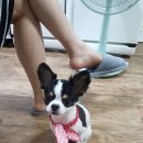 앙꼬네 미용실 이미지