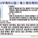 케이시케미칼 네이버블로그