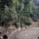 월영동142 이미지