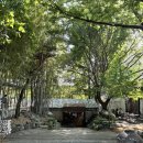미카페 - 고양시 덕양구 충장로 118-54 | 하남 미사 카페 추천 숲속 감성 가득한 갤러리카페 미사장 후기