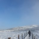 영실빌라 | [실시간 한라산 영실코스날씨] 윗세오름, 남벽분기점. 영실코스 주차요금 인상. 갓길주차 과태료