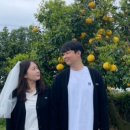 연화일휘 네이버블로그