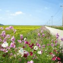 커버, 리메이크 (FEAT.복면가왕) 100곡 장르 혼합 이미지