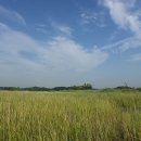 장수천공원 이미지