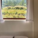 솔비치2민박 이미지