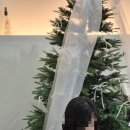 스튜디오영영 네이버블로그