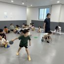 창원한백유아태권도장 이미지