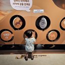 (학습다방)위빙클래스 | 경기도 아이랑 갈만한곳 실내 고양어린이박물관 주차 예약