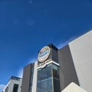 새콤달콤이카페 - 강진군 서성2길 17 | [내돈 내산 후기] 새콤달콤, 이까지 시린 속초 맛집 '청초수물회 속초본점' 다녀왔습니다.