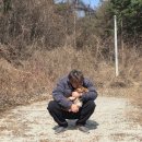 더라인(양평) | 양평 북한강 맛집 청기와 곤드레솥밥 내돈내산 솔직후기 (vs 토담골)