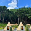 팔꽁이 | 대구 팔공산 바베큐 맛집 분위기 좋은 캠핑식당 팔꽁이 내돈내산 후기♡