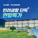 글램독청평 이미지