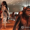 전곡선사박물관 이미지