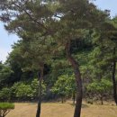 서에스테틱