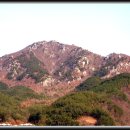 송단목장 Daum카페
