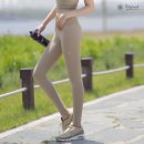천상여우 이미지
