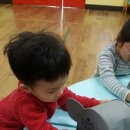 코코부엉이 이미지
