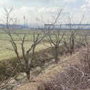 다연농장 이미지