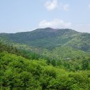 아영면 오산마을 이미지