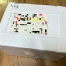 하단포비 이미지