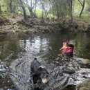 하례학림로 이미지