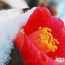 동광약국 이미지