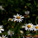 오성실업 이미지