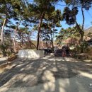 새들펜션캠핑장 이미지