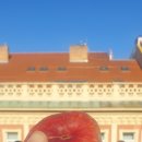 더달달 민박 이미지