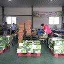 안동유통 이미지