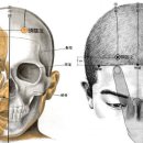 두임읍혈GB15 두임읍(頭臨位 2개 혈) : 足少陽與.太陽經與陽維脈之會穴. 이미지